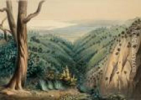 View From Mount Lofty Looking Over The Plains Of Adelaide Oil Painting - George French Angas