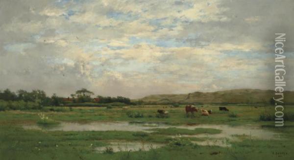 Prairies Inondees, Pas De Calais Oil Painting - Pierre-Emmanuel Damoye
