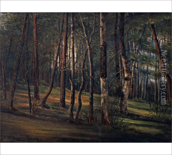 Forest Landscape Oil Painting - Karin Bergoo