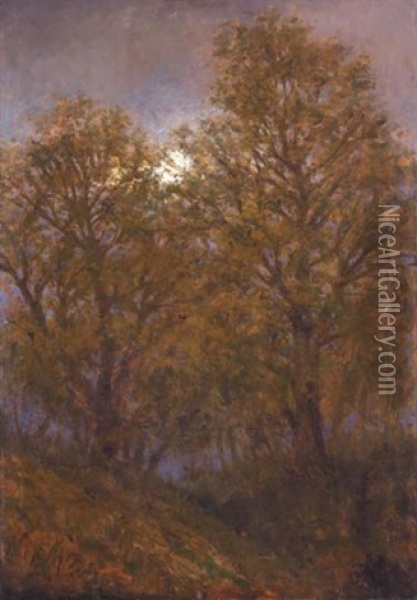 Autumn Forest In Moonlight Oil Painting - Laszlo Mednyanszky