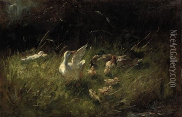 Ducks And Ducklings In The Grass Oil Painting - Franciscus Willem Helfferich
