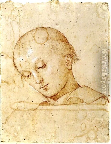 Head of Saint Lawrence Oil Painting - Pietro Vannucci Perugino