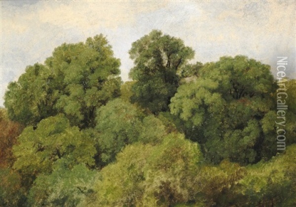 Study Of Treetops Oil Painting - Johan Thomas Lundbye