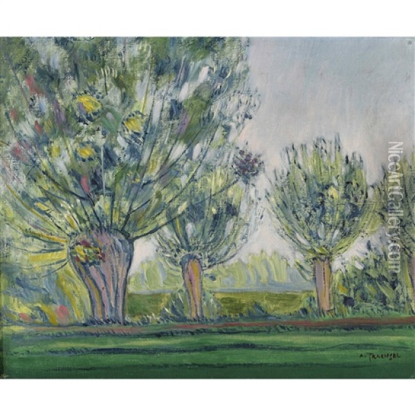 Landschaft Mit Weidenbaumen Oil Painting - Albert Trachsel