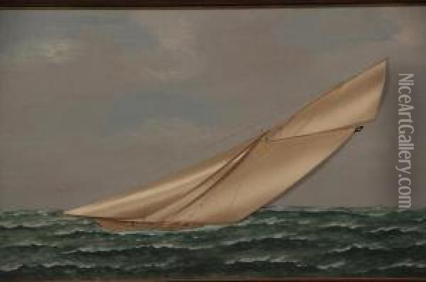Marine Oil Painting - Thomas Willis