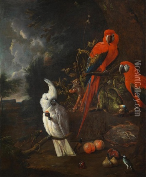A Citron-crested Cockatoo, Two Red Macaws, A Green Parrot And A Marmoset, With Apples And Figs Oil Painting - Willem Van Royen