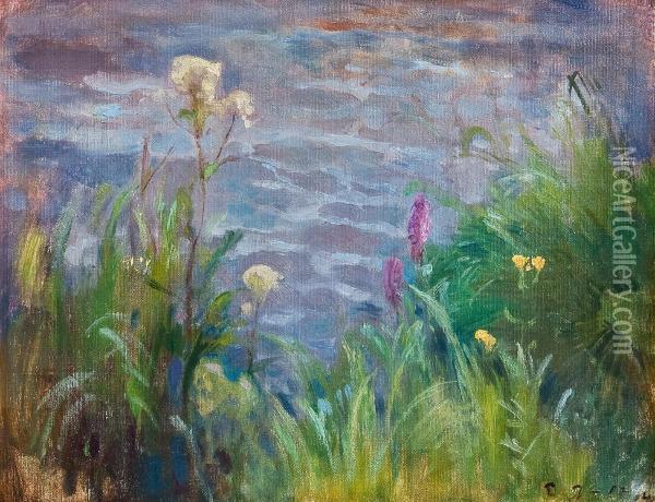 The Shore Of Tuusulanjarvi Oil Painting - Eero Jarnefelt