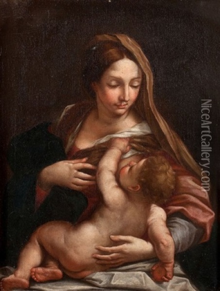 Vierge A L'enfant Oil Painting - Carlo Cignani