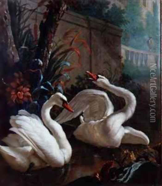 A Pair of Mute Swans in a Pond Oil Painting - Abraham Bisschop Dordrecht