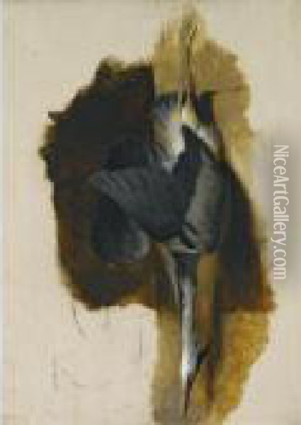 Study Of A Dead Heron Oil Painting - Landseer, Sir Edwin