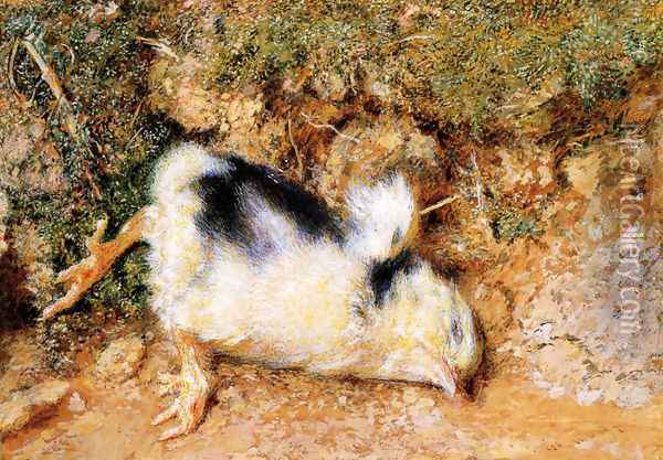 John Ruskin's dead chick Oil Painting - William Holman Hunt