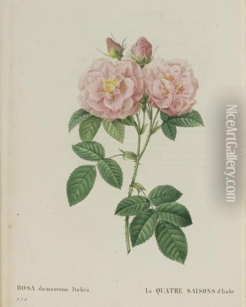 Les Roses Oil Painting - Pierre-Joseph Redoute