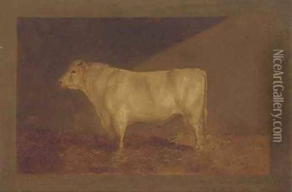 A prize bull Oil Painting - John Sturgess