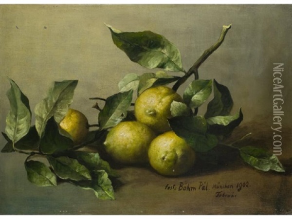 Stilleben Mit Zitrusfruchten Oil Painting - Pal (Paul) Boehm