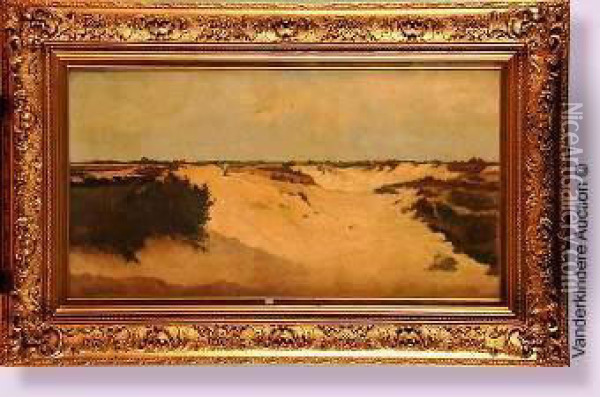 Dunes Oil Painting - Alphonse Allaerts
