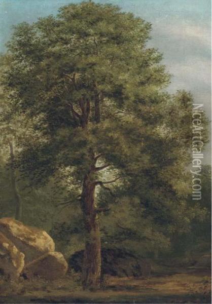 Forest Scene Oil Painting - Ivan Shishkin