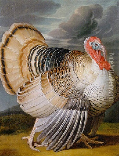 A Turkey In A Landscape Oil Painting - Wenceslaus (Wenzel) Peter