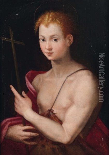 San Giovannino Oil Painting - Santi Di Tito