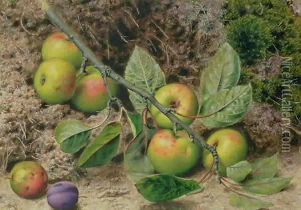 Apples on a Branch Oil Painting - John Sherrin