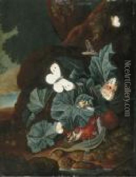 A Forest Floor Still-life With A Lizard, Butterflies, Snails And Asnake Oil Painting - Carl Wilhelm de Hamilton