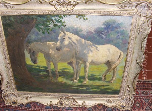 Ponies Resting Beneath The Shade Of A Tree Oil Painting - Harvey Harold