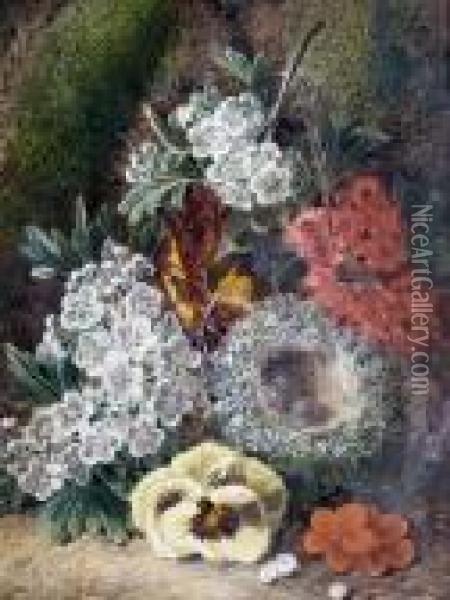 Primroses, A Birds Nest And 
Other Flowers On Amossy Bank; Plums, Grapes And Raspberries On A Mossy 
Bank Oil Painting - George Clare