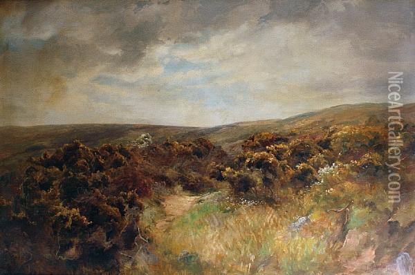 Moorland Landscape Oil Painting - James Johnstone Inglis