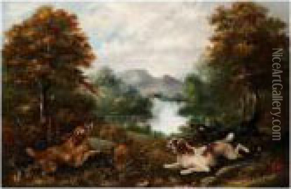 Flushing A Pheasant Oil Painting - George Armfield