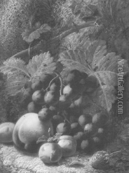 Grapes, Peaches And Greengages On A Mossy Bank Oil Painting - Oliver Clare
