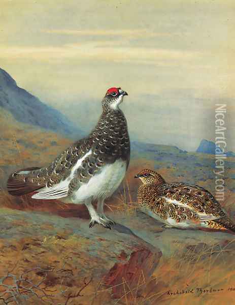 Ptarmigan in summer plumage Oil Painting - Archibald Thorburn