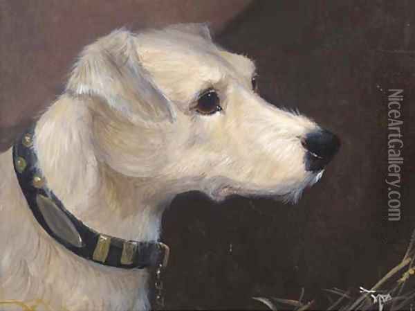The head of a terrier 2 Oil Painting - English School