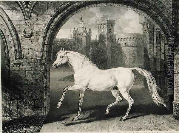 A Persian Horse, from Celebrated Horses, a set of fourteen racing prints published by the artist, 1823-24 Oil Painting - James Ward