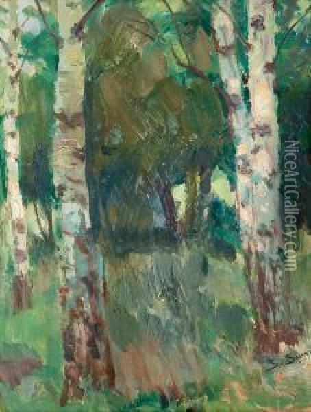 Birch Trees. Oil Painting - Santeri Salokivi