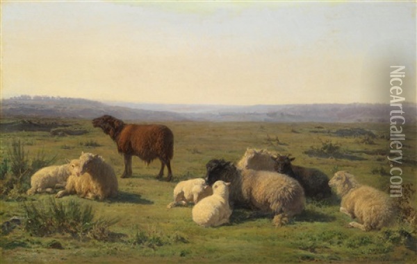 Ruhende Schafe Auf Der Weide Oil Painting - Juliette Peyrol Bonheur
