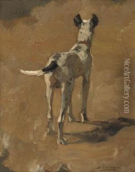 Studie Van Een Hond Oil Painting - Nicolaas Van Der Waay