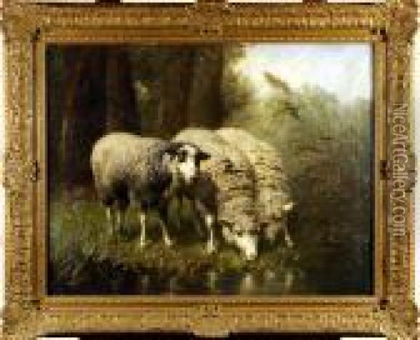 Les Moutons Oil Painting - Edouard Woutermaertens