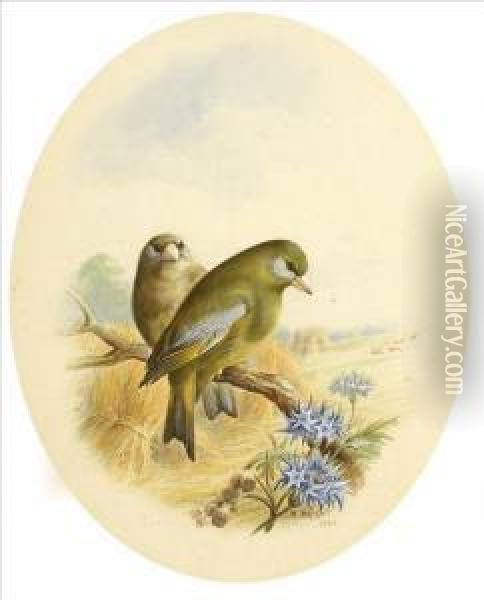 Greenfinches In Aharvest Field; Nightingales At The Nest Oil Painting - Harry Bright