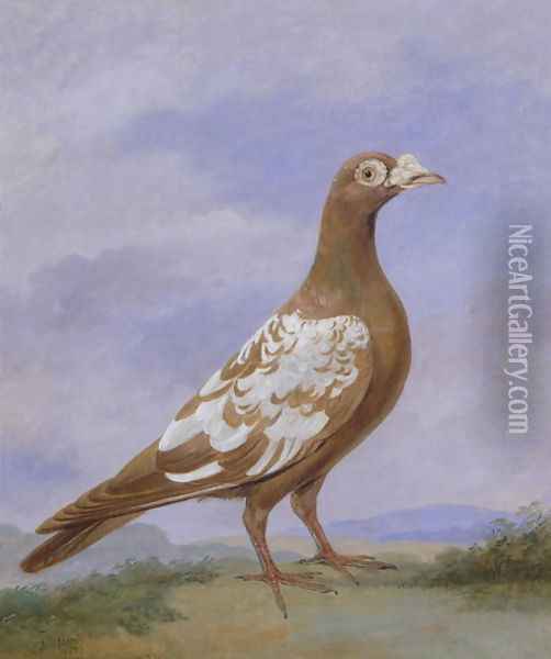 Red Pied Carrier Pigeon Oil Painting - Dean Wolstenholme, Jr