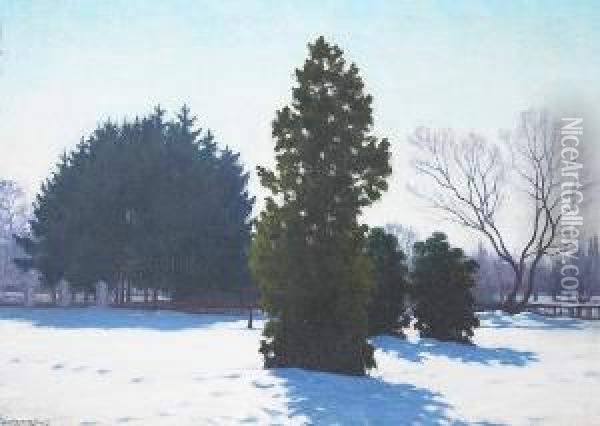 A Winter Landscape In A Park Oil Painting - Samu Bortsok
