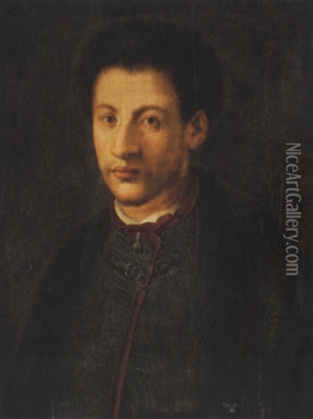 Portrait D'alexandre De Medicis Oil Painting -  Pontormo