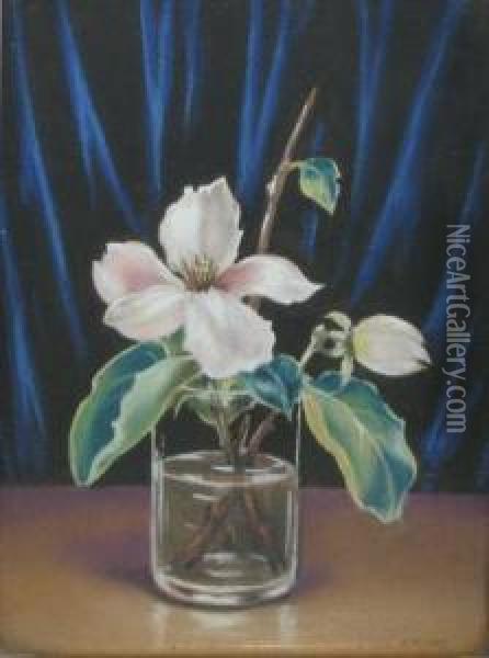 Magnolie Oil Painting - Misu Teisanu