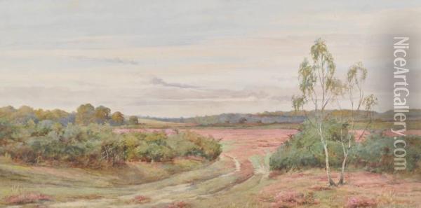 On Brockenhurstcommon Oil Painting - John Edward Goodall