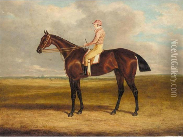 Jockey Mounted On Bay Oil Painting - John Frederick Herring Snr