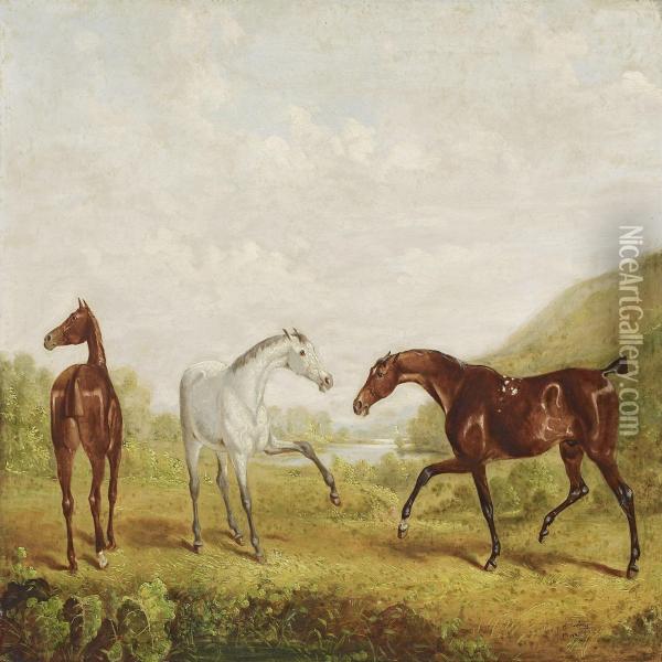 Landscape With Younghorses Oil Painting - W.J. Gilbert