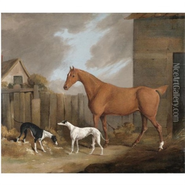 A Chestnut Hunter With Two Greyhounds In A Stable Yard Oil Painting - James Barenger the Younger