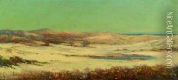 Quiet Dunes And Tidal Pool Oil Painting - Louis H. Richardson