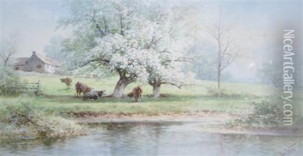 Cows Grazing At Pond Oil Painting - Carl Weber