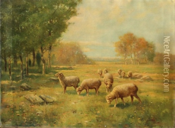 Sheep Oil Painting - Reuben Le Grande Johnston