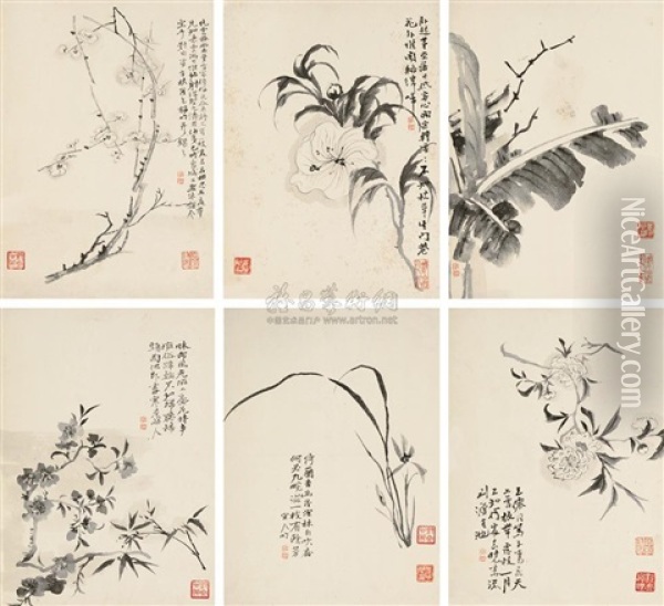 Flowers (6 Works) Oil Painting -  Chen Zhuan