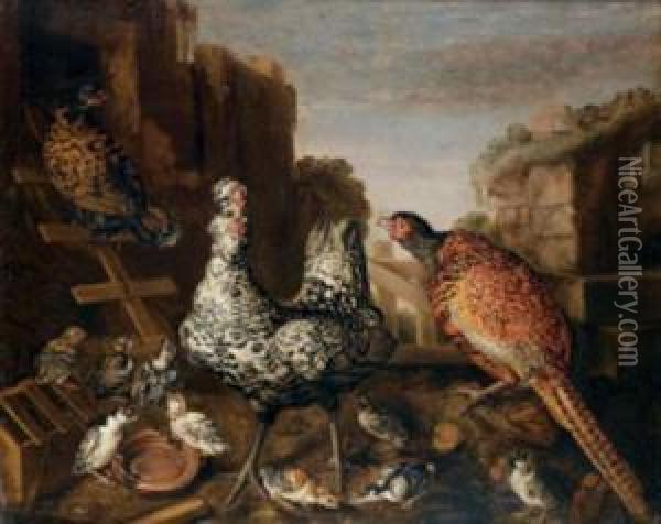 Coq Dominant Le Poulailler Oil Painting - Jacomo (or Victor, Jacobus) Victors